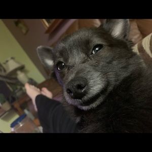 Meet your Posher, Mallory